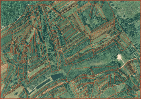 Plan cadastral superposant la photo aérienne à Bertrichamps (54)